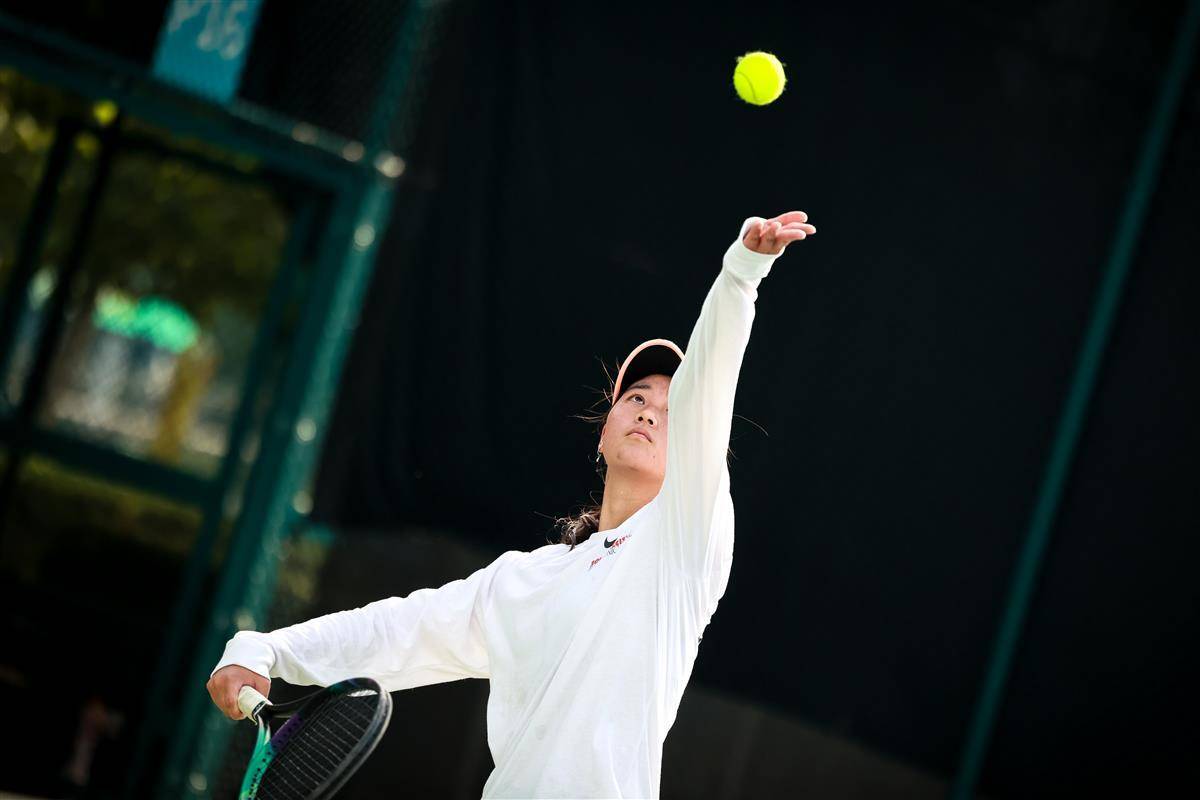 这一夜的篮 这一夜的篮