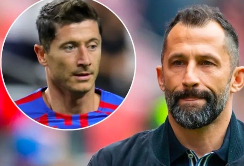 国际赛场上 国际赛场上